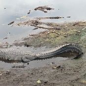 Photo submitted by Shirley