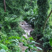 Photo submitted by Zachary