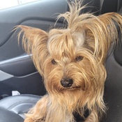 Photo submitted by BRIAN