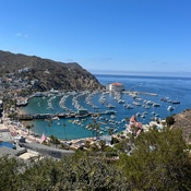 Photo submitted by Vito