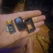 Photo submitted by Ryan