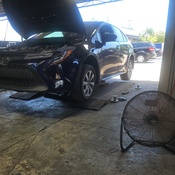 Photo submitted by Guest