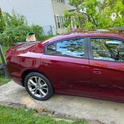 Photo submitted by Dana