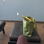 Photo submitted by Guest