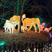 Photo submitted by melvina