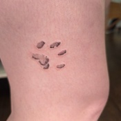 Photo submitted by sonya