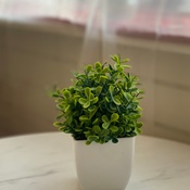 Photo submitted by Marisel