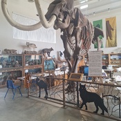 Photo submitted by Manda