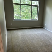 Photo submitted by Cleaning