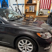 Photo submitted by tracy