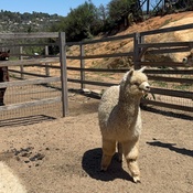 Photo submitted by Diana