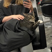 Photo submitted by Anna