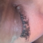 Photo submitted by Guest