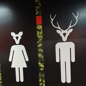 Photo submitted by Cheryl