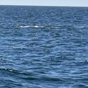 Photo submitted by Jennifer