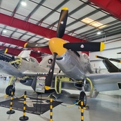 Photo submitted by Guest