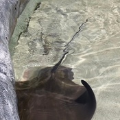 Photo submitted by Marc