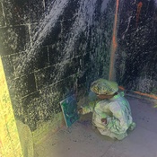 Photo submitted by Mitchell