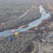 Photo submitted by Amy