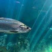 Photo submitted by justina