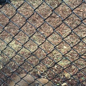 Photo submitted by Susan