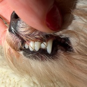 Photo submitted by Lucy