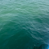 Photo submitted by Heather