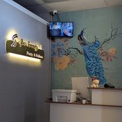 Photo submitted by cheri