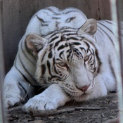 Photo submitted by Justin