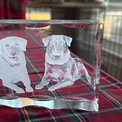 Photo submitted by Stacey