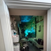 Photo submitted by Holly