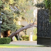 Photo submitted by Jennifer