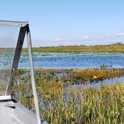 Photo submitted by Jason