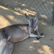 Photo submitted by Cathy