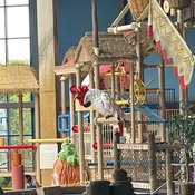 Photo submitted by Guest