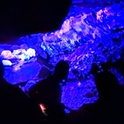 Photo submitted by Angelica