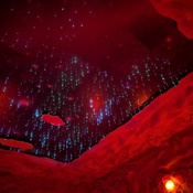 Photo submitted by Julia