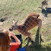 Photo submitted by Danielle