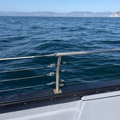 Photo submitted by Robin