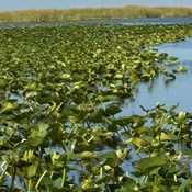 Photo submitted by Alisa