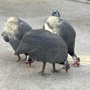 Photo submitted by Agata