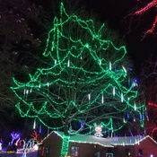 Photo submitted by Sandy