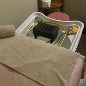 Photo submitted by Vanessa