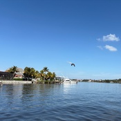 Photo submitted by Ying