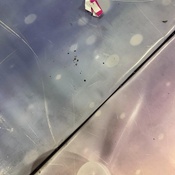 Photo submitted by Destiny