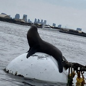 Photo submitted by Brigid