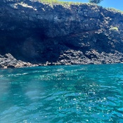 Photo submitted by Logan