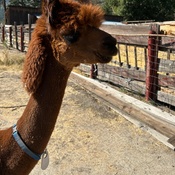 Photo submitted by Amy