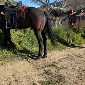 Photo submitted by Amayrani