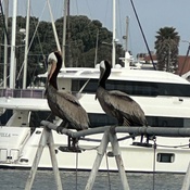 Photo submitted by Julia